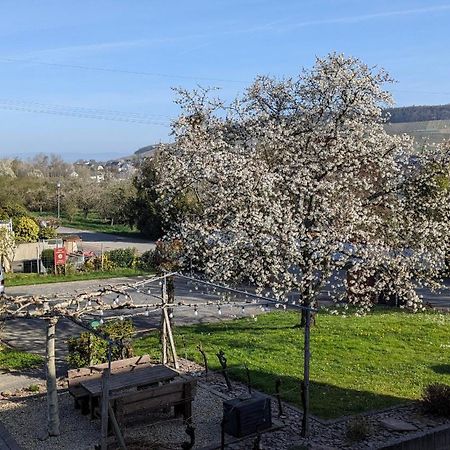 Appartamento Weingut Harald Ludwig Osann-Monzel Esterno foto