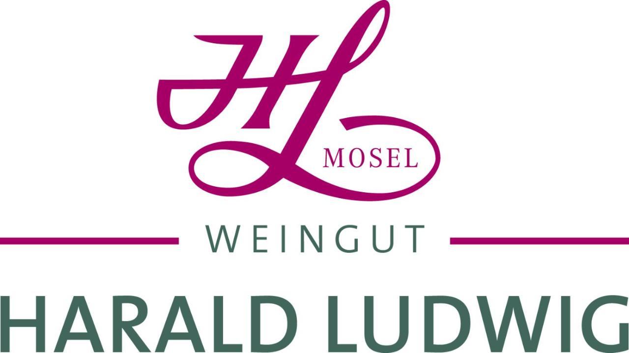 Appartamento Weingut Harald Ludwig Osann-Monzel Esterno foto