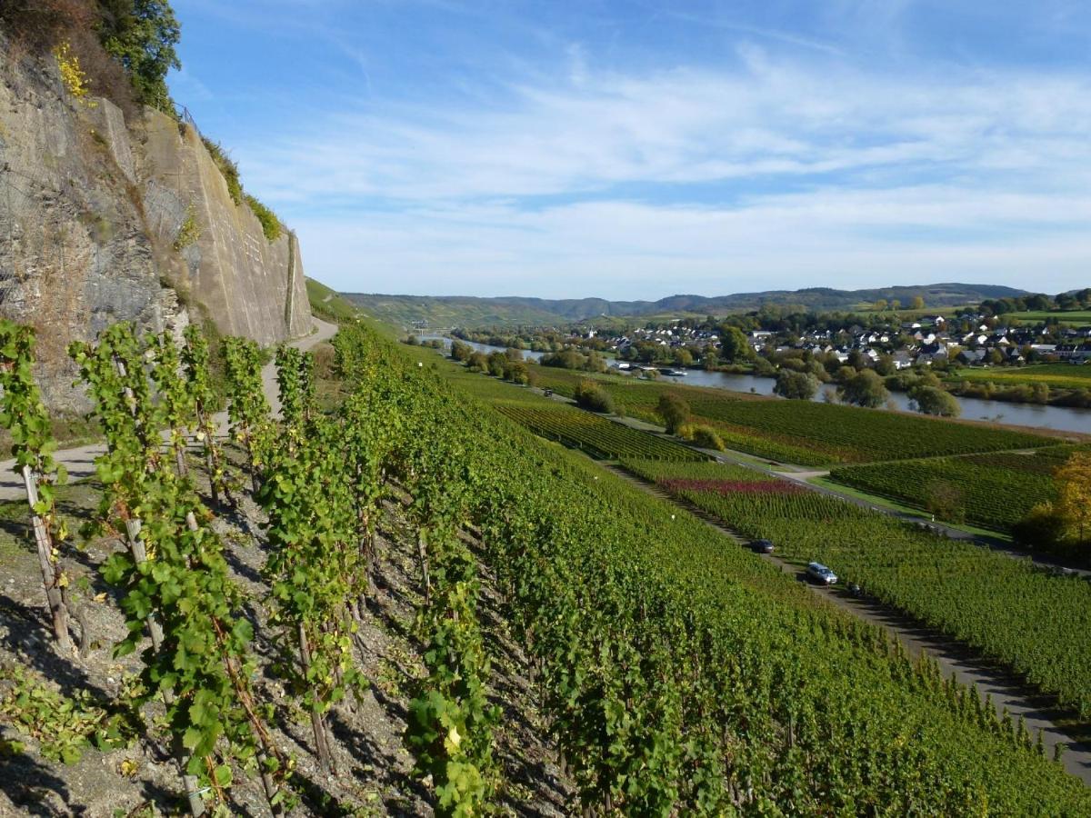 Appartamento Weingut Harald Ludwig Osann-Monzel Esterno foto