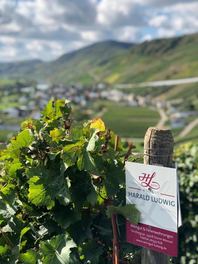 Appartamento Weingut Harald Ludwig Osann-Monzel Esterno foto