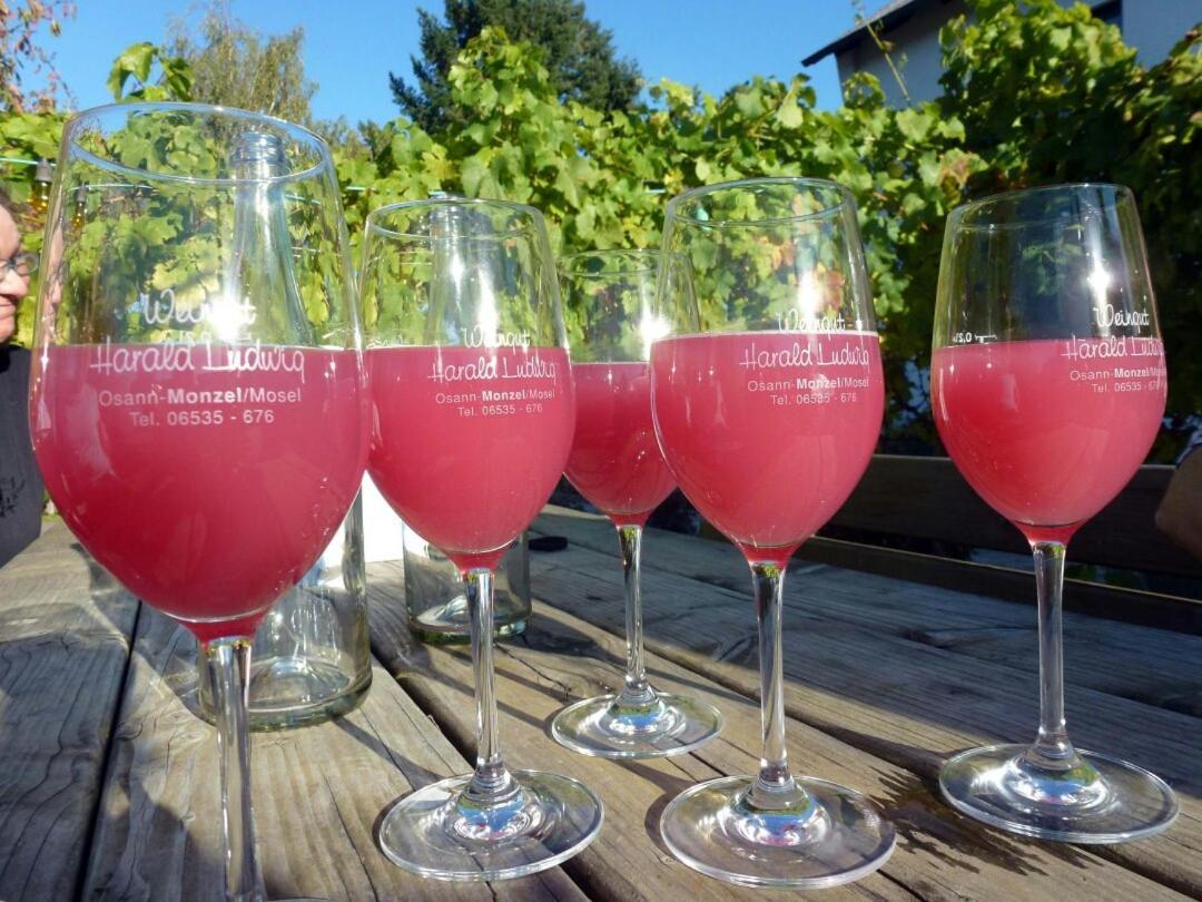 Appartamento Weingut Harald Ludwig Osann-Monzel Esterno foto