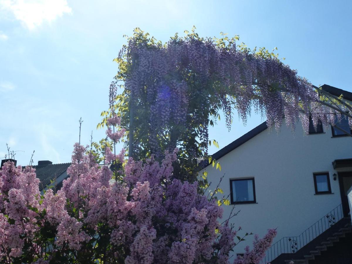 Appartamento Weingut Harald Ludwig Osann-Monzel Esterno foto