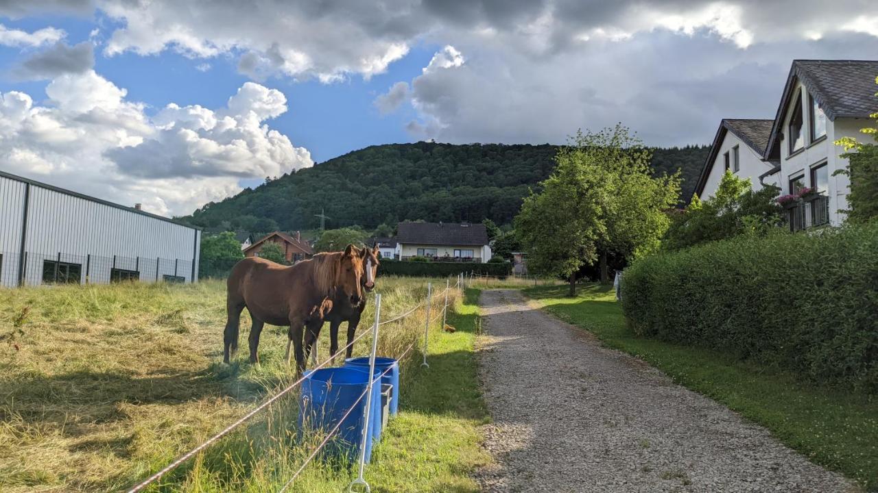 Appartamento Weingut Harald Ludwig Osann-Monzel Esterno foto