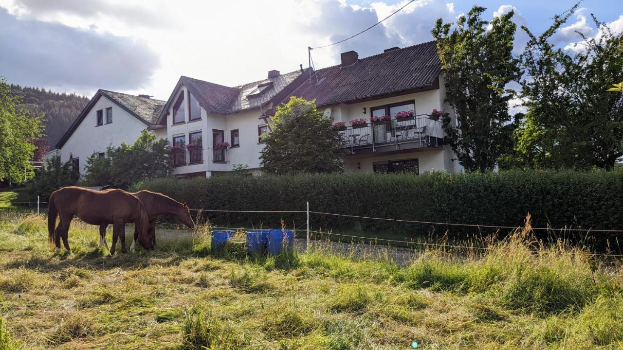 Appartamento Weingut Harald Ludwig Osann-Monzel Esterno foto