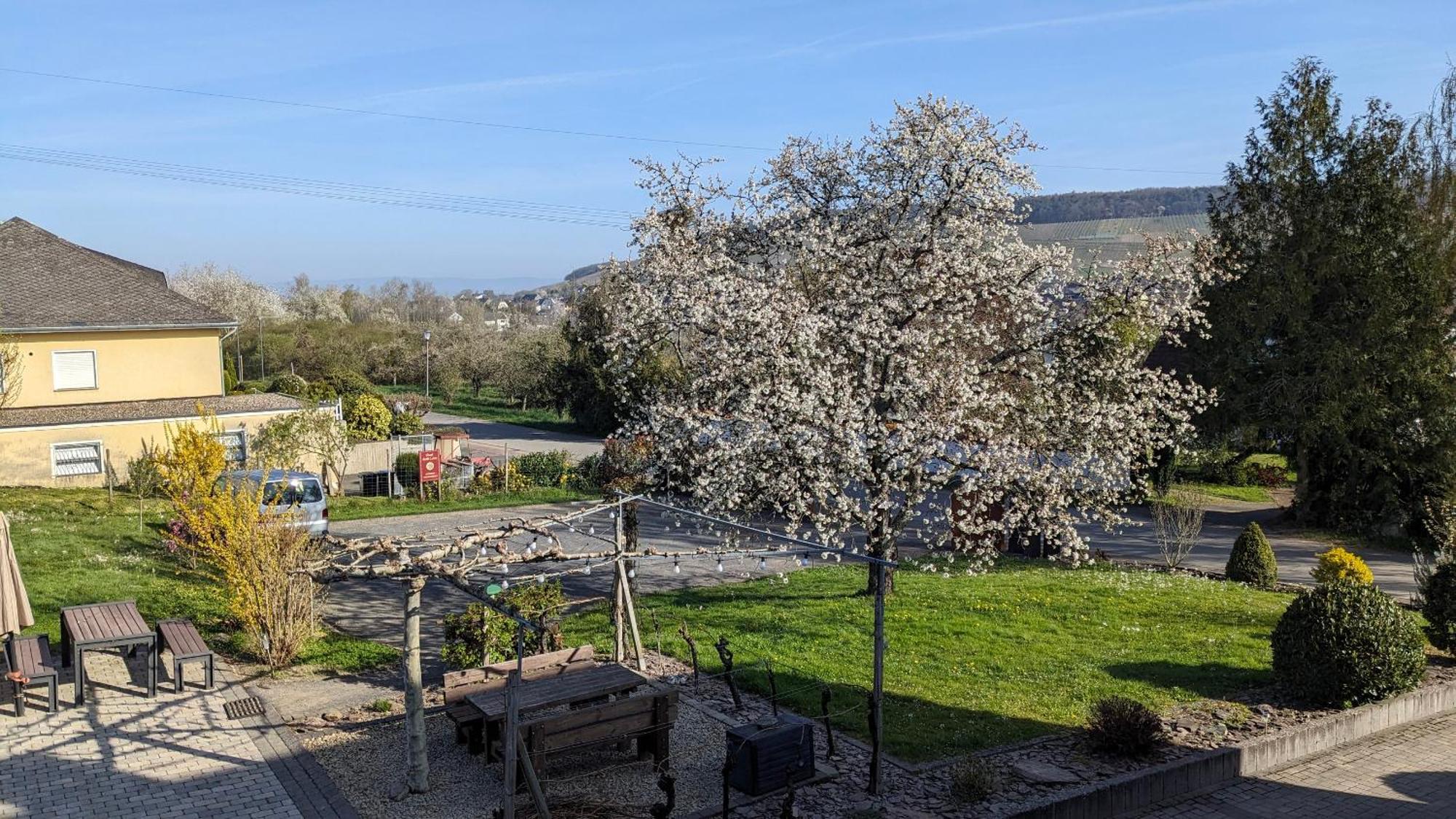Appartamento Weingut Harald Ludwig Osann-Monzel Esterno foto